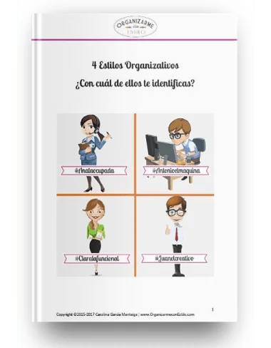 4 estilos organizativos